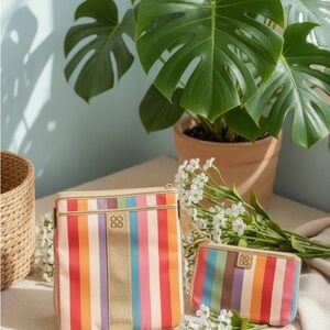 Coach Julia Legacy Striped Crossbody & wristlet set